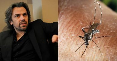 "Stop killing mosquitoes, they need blood to feed their kids’ – Animal-rights activist 11