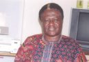 COVID-19 CURE: Why Govt Should Listen To Prof. Ayodele Israel Adeleye & Co