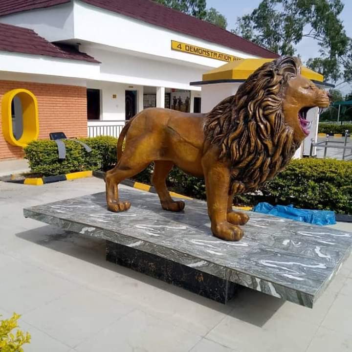 the roaring lion of 4th battalion Army HQ Jaji 