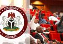 Senate to establish financial aid scheme for Nigerian students 3