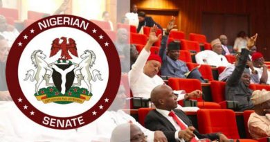 Senate passes anti-sexual harassment bill, proposes 14yrs jail term for offenders 6