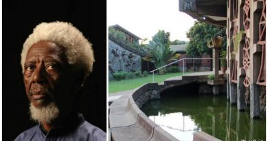 Demas Nwoko: The renowned architect decolonising Nigerian design 4