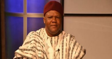 Dr. Obadiah Mailafia: Prominent Nigerian development economist 6 Dr. Obadiah Mailafia: Prominent Nigerian development economist 5