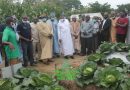 ABU Agric complex capable of transforming Nigeria’s economy