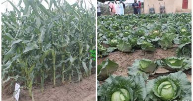ABU to fully engage in commercial agriculture next farming season - Vice-Chancellor 4