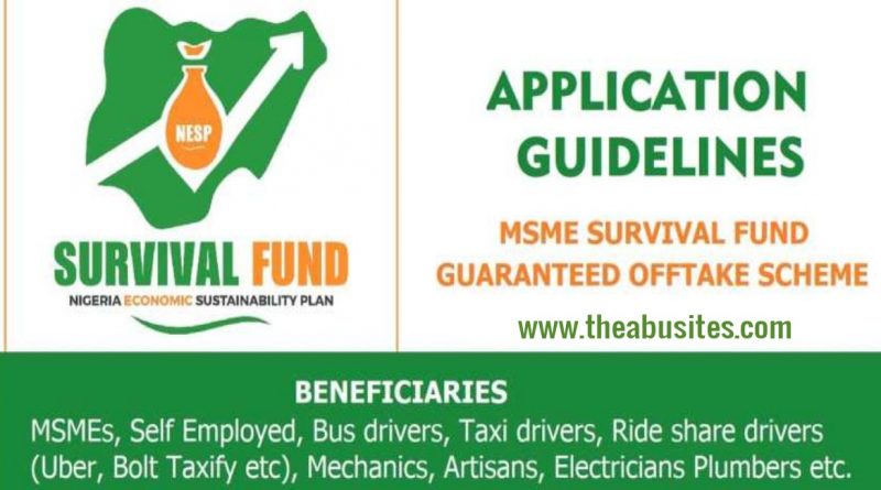 How to Apply for N75Bn MSMEs Survival Fund for Nigerian Entrepreneurs 1