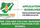 How To Benefit From Free 250,000 FG/CAC Business Name Registration for MSMEs