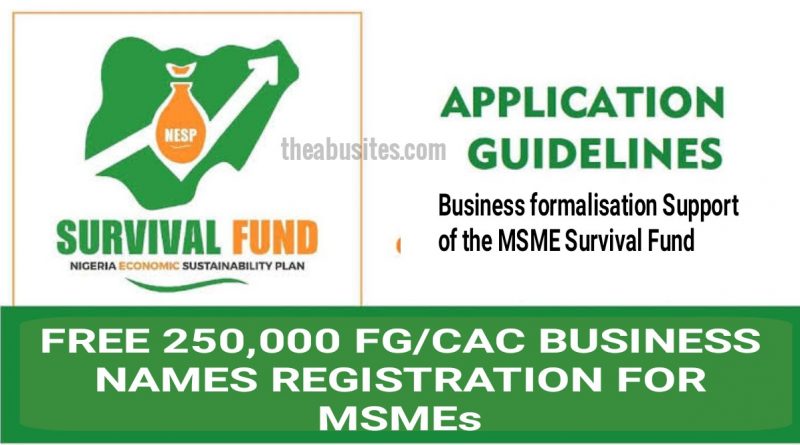 How To Benefit From Free 250,000 FG/CAC Business Name Registration for MSMEs 9