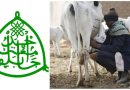 NAPRI/ABU to Partner Fulani Herders on Milk Production