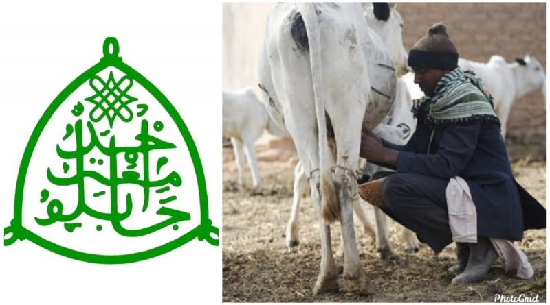 NAPRI/ABU to Partner Fulani Herders on Milk Production 1