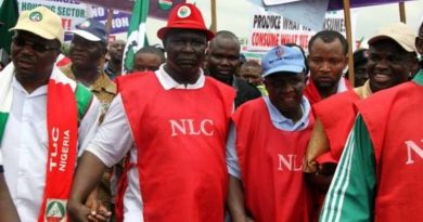 ASUU Strike: NLC Writes Finance Minister Over IPPIS 6