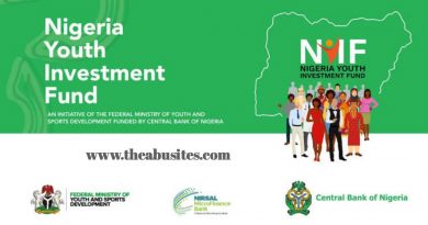 How to Apply for N75Bn Nigeria Youth Investment Fund (NYIF) Scheme 4
