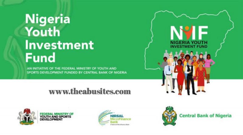 How to Apply for N75Bn Nigeria Youth Investment Fund (NYIF) Scheme 10