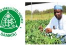 New ABU developed cowpea variety shows promises in demo farms