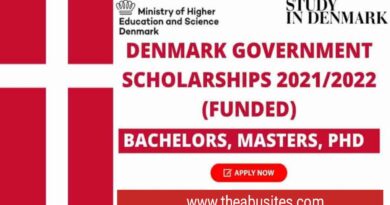APPLY: Denmark Government Scholarships 2022 for Non-EU Students 5