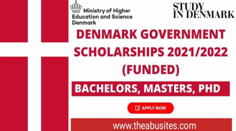 APPLY: Denmark Government Scholarships 2022 for Non-EU Students 6