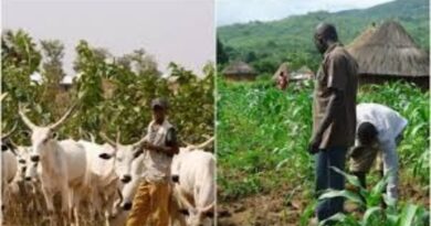 Herdsmen/Farmers: ABU Institute Suggests Best Way To End Crisis 9