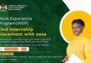 Call for Application: FG Work Experience Program (WEP) 2021 for Nigerian Youths