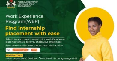 Call for Application: FG Work Experience Program (WEP) 2021 for Nigerian Youths 6