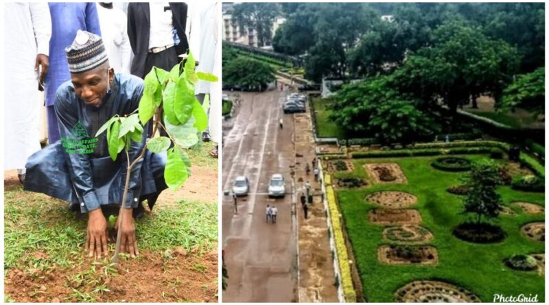 ABU marks World Environmental Day, flag-off of one million trees planting 1 ABU marks World Environmental Day, flag-off of one million trees planting 1