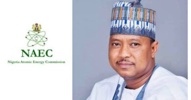 Buhari Appoints ABU Professor as New NAEC Chairman/CEO 6