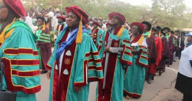 What many don't know about university lecturers in Nigeria 6