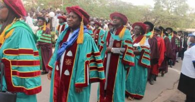 What many don't know about university lecturers in Nigeria 7 What many don't know about university lecturers in Nigeria 6