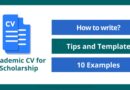 How to Write an Impressive Academic CV for Scholarship (10 Examples)