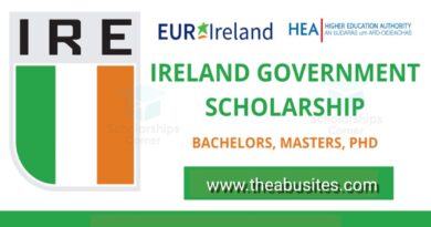 2022 Government of Ireland International Education Scholarships 4
