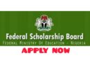 Top 5 scholarships for Nigerian students to study abroad 7