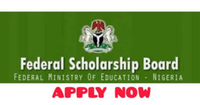Top 5 scholarships for Nigerian students to study abroad 6