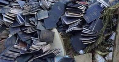 How mercenaries write final year projects for students 6