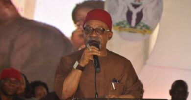 UPDATE: Suspension Of Strike Depends On ASUU, Not FG – Ngige 4