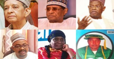 Meet the 6 most Iconic professors from Northeast Nigeria 9