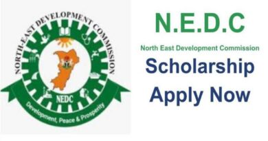 APPLY: 2022 NorthEast Development Commission Scholarship for Nigerian Students 6