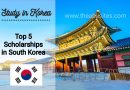 Unlock Your Study Dreams: Top 5 Best Scholarships to Study in South Korea 2024
